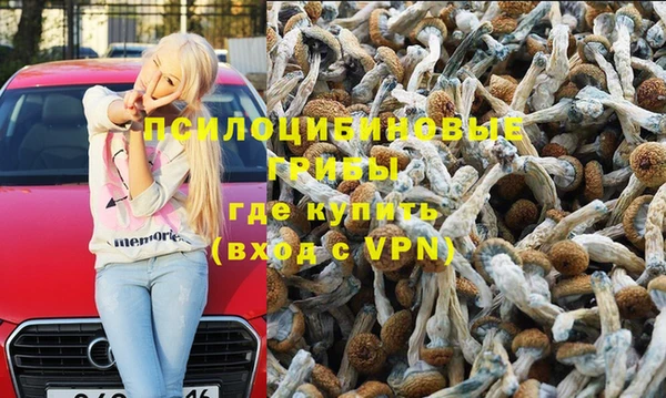 ALPHA-PVP Надым