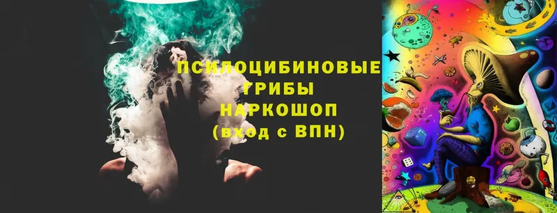 Псилоцибиновые грибы GOLDEN TEACHER  МЕГА зеркало  Заволжье 