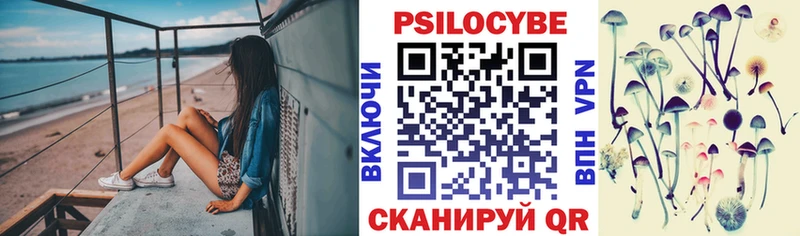 MEGA   Заволжье  Галлюциногенные грибы мицелий 