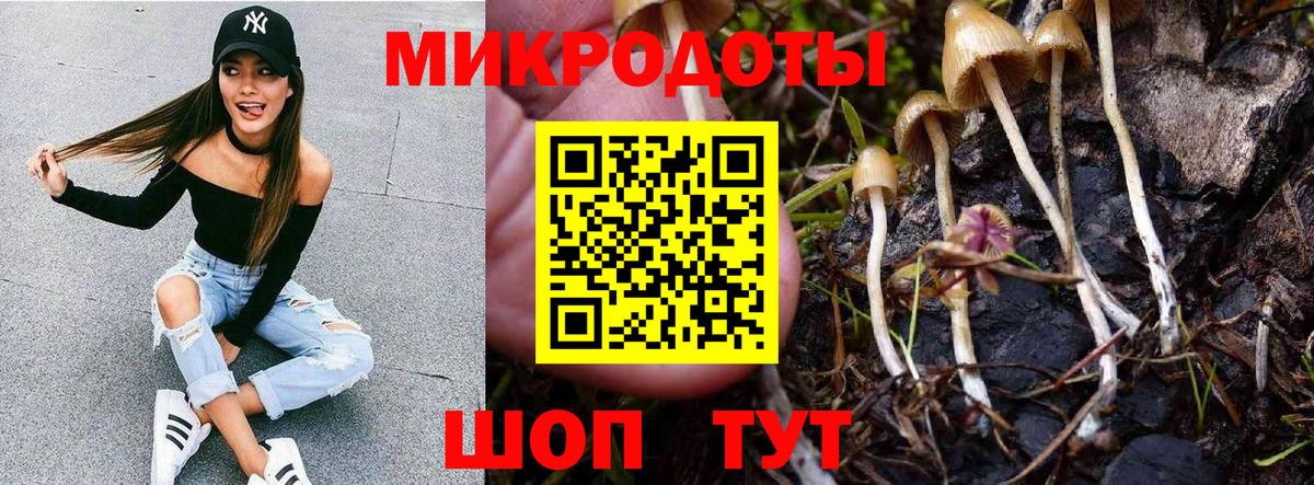 Галлюциногенные грибы GOLDEN TEACHER  Вход с VPN  Заволжье 
