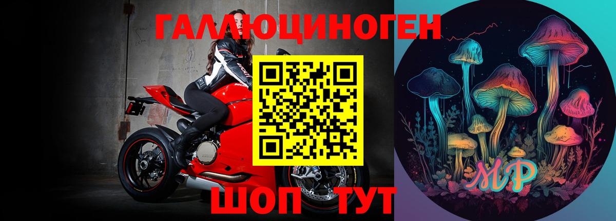 Псилоцибиновые грибы Psilocybine cubensis  Псилоцибиновые грибы мухоморы  купить закладку  Заволжье 