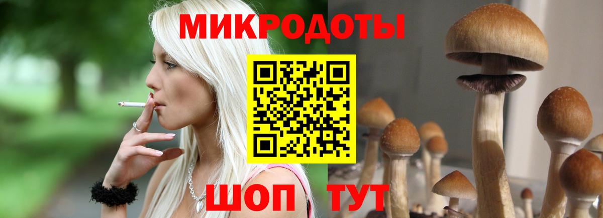 Галлюциногенные грибы мицелий Заволжье